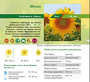 Тільки до кінця локдауну знижка на насіння соняшника 10% в Одеській області. Україна