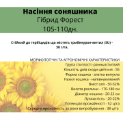 Насіння соняшника - Форест 105-110 днів (гранстійкий), Дніпропетровська область. Україна