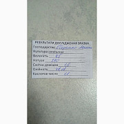 Продам соняшник, Чернігівська область. Україна