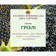 Новинка 2021 р. Насіння соняшника під Євролайтнінг - Гризлі (100-107 дн), Київська обл. Україна