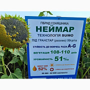 Неймар під гранстар. Гібрид соняшнику Неймар 43 ц/га. Соняшник Неймар волчок ряду A-G, Дніпропетровс Україна