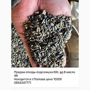 Продам сорний соняшник, відходи, не кондиція, Полтавська область. Україна
