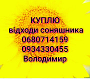 Відходи соняшника, Хмельницька область. Україна