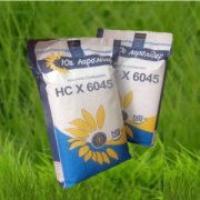 Насіння соняшнику НС Х 6045, Київ. Україна