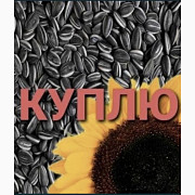 Куплю насіння соняшнику, пошкоджене кислотою, подрібнену кукурудзу, Одеська область. Україна
