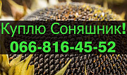 Підприємство переробник закуповує соняшник у необмежених обсягах в Полтавській області. Украина