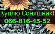 Закуповую СОНЯШНИК у будь-якій кількості, Полтавська область. Украина