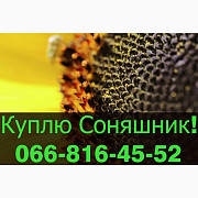Переробне підприємство оголошує про закупівлю СОНЯШНИКУ, Полтавська область. Украина