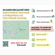 Куплю насіння соняшника, Дніпропетровська область. Украина