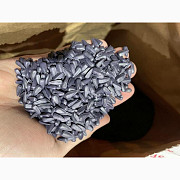 Насіння соняшника класичної технології Флоріан гібрид, Вінницька область. Україна