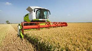 Потрібні комбайни для збирання ранніх зернових, сої, соняшнику, кукурудзи, Чернігівська область. Україна