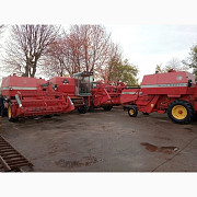 Комбайн Massey Ferguson 186, Волинська область. Украина