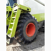 Комбайн Claas Lexion 600 (2006), Київська область. Україна