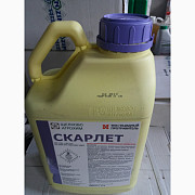 Скарлет, МЕ - фунгіцидний протруйник насіння с/г культур проти хвороб, Київська область. Україна