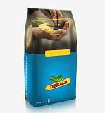 Насіння озимого ріпаку ДК ІМПЛЕМЕНТ КЛ "Декалб (Dekalb)", Київ. Украина