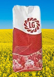 Насіння озимого ріпаку Архітект від виробника "Limagrain", Київ. Україна