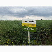 Насіння озимого ріпаку НК Технік від Syngenta, Київ. Україна