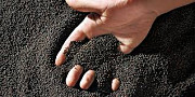 Крупним оптом купимо рапс, Запорізька область. Україна