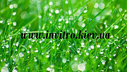 Продам абсцизову кислоту (ABA, Abscisic acid), Київ. Україна