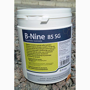 Регулятор росту Бі Найн B-Nine 85 SG для хризантем (Польща), Волинська область. Україна