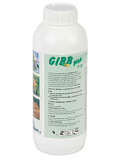GIBB Plus 11 sl (Гібб Плюс) 1л – регулятор росту на основі гіберелінів GA 4/7 (Польща), Волинська. Україна