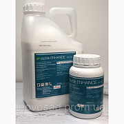Dazide 85 SG (Дазіде) 500 г - засіб для регулювання росту хризантем, Волинська область. Україна