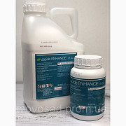 Dazide 85 SG (Дазіде) 500 г - засіб для регулювання росту хризантем, Волинська область. Україна
