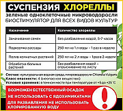 Хлорела суспензія (Chlorella vulgaris) - живий штам хлорели, Одеська область. Україна