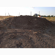 Продам навоз курячий без підстилки, Миколаївська область. Україна