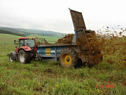 Гній, перегній коров'ячий, курячий послід, грибний компост, Київська область. Україна