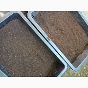 Продам БІОГУМУС Органічне добриво, Київська область. Україна