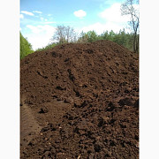 Верховий кислий рижий торф для лошини, Житомирська область. Україна
