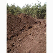 Верховий кислий рижий торф для лошини, Житомирська область. Україна