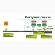 Ускорювач проростання насіння "Мальхам", Київ. Україна