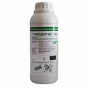 Продам буряк 1 кг. Херсон