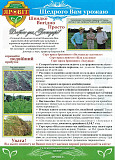Сорт Біла Альтанка (просо посівне) еліта ВІД ОРИГІНАТОРА! СІМЕНА ПРОСА. Полтава