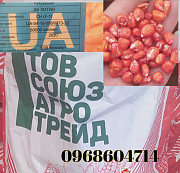Насіння кукурудзи Хотин. -> Насіння кукурудзи Хотин. Новомосковськ