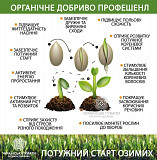 ГУМАТИ. Безкоштовна доставка. Київ
