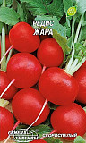 Редис Жара 20 г. -> Редис Жара 20 г. Херсон