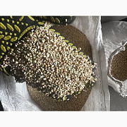 Крупа зеленої гречки, Вінницька область. Україна