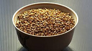 Продаж гречки оптом. Зерно гречки на продаж, Волинська область. Україна