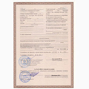 Насіння ячменю ярого Акордіне, перша репродукція, Київська область. Украина