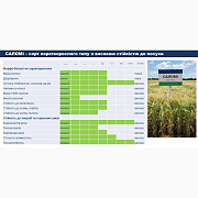 Насіння ячменю ярого Саломі, перша репродукція, Київська область. Украина