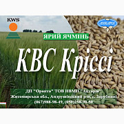 Насіння ярого ячменю КВС Кріссі (СН, перша), Житомирська область. Украина
