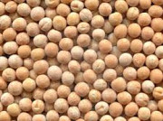 Сім'я жовтого горошку сорт Девіз еліта, 1 репродукція, Харківська область. Украина
