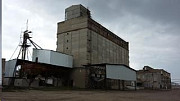 Продам елеватор і цех з виробництва масла, Одеська область. Украина