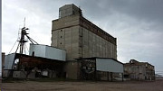Продам елеватор і цех з виробництва масла, Одеська область. Украина