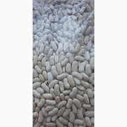 Продам квалітну білу квасолю для експорту, Дніпропетровська область. Україна