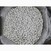 Продам квасоль Бандоля (біла крупна, ясь), Чернігівська область. Україна