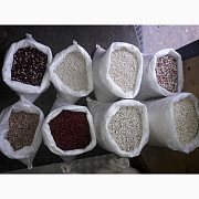 Продам квасоль Бандоля (біла крупна, ясь), Чернігівська область. Україна